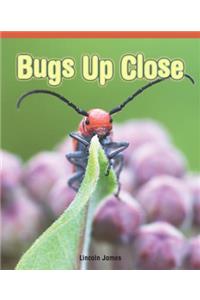 Bugs Up Close