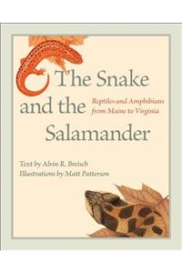 Snake and the Salamander