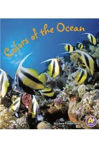 Colors of the Ocean