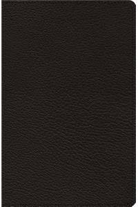 ESV Heirloom Thinline Bible