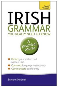 Irish Grammar You Really Need to Know: Teach Yourself: A Practical Course