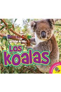 Los Koalas