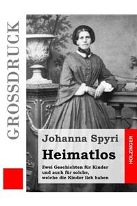 Heimatlos (Großdruck)