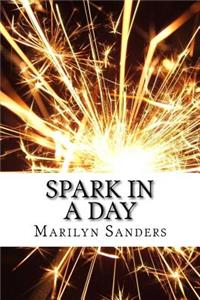 Spark In a Day