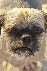 Bad Hair Day for the Shih Tzu Dog Journal