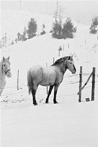 Winter Theme Journal Horses In Winter