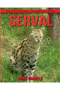 Serval! An Educational Children's Book about Serval with Fun Facts & Photos