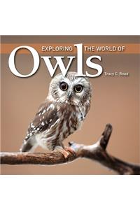Exploring the World of Owls