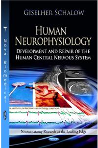 Human Neurophysiology: Development and Repair of the Human Central Nervous System