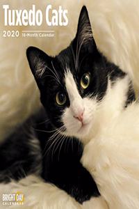 TUXEDO CATS WALL CALENDAR 2020