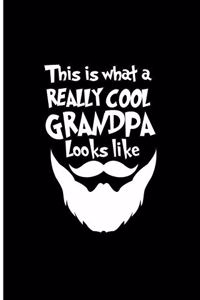 This is What a Really Cool Grandpa Looks like