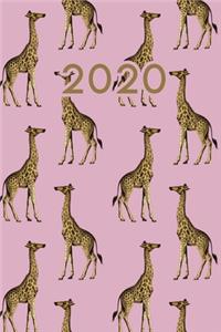 2020