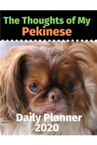 The Thoughts of My Pekinese: Daily Planner 2020