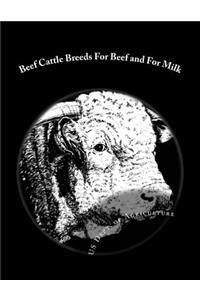 Beef Cattle Breeds For Beef and For Milk