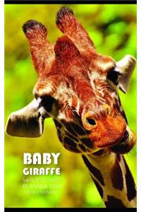 Baby Giraffe Monthly Note Planner 2019 1 Year Calendar