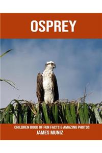 Osprey: Children Book of Fun Facts & Amazing Photos