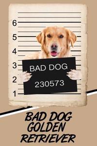 Bad Dog Golden Retriever