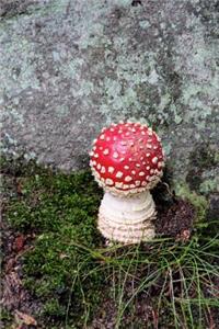 Fly Agaric Mushroom Growing by a Rock Journal