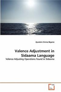 Valence Adjustment in Sidaama Language