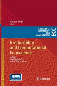 Irreducibility and Computational Equivalence