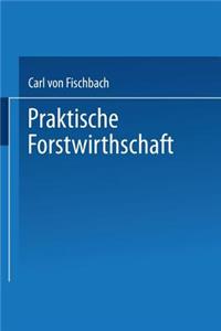 Praktische Forstwirthschaft