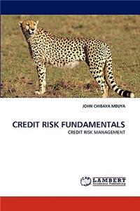 Credit Risk Fundamentals