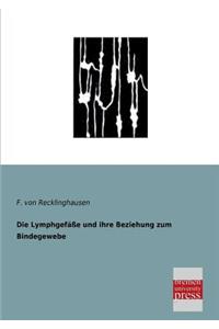 Lymphgefasse Und Ihre Beziehung Zum Bindegewebe