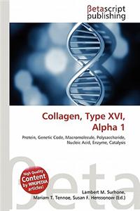 Collagen, Type XVI, Alpha 1