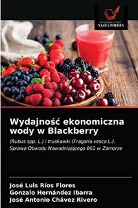 Wydajnośc ekonomiczna wody w Blackberry