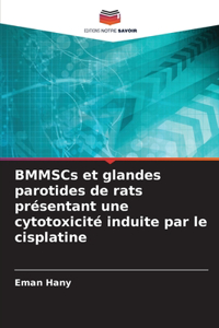 BMMSCs et glandes parotides de rats présentant une cytotoxicité induite par le cisplatine