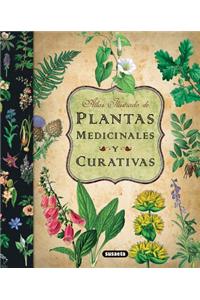 Atlas Ilustrado de Plantas Medicinales y Curativas