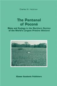 Pantanal of Poconé