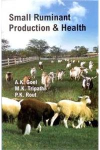 Small Ruminant Production & Health