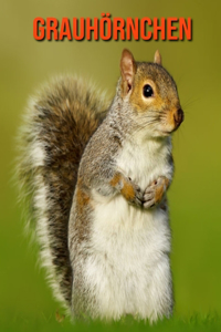 Grauhörnchen