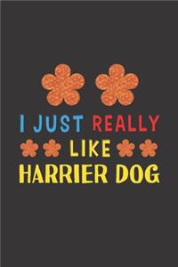 I Just Really Like Harrier Dog
