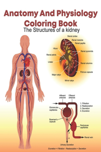 Anatomy And Physiology Coloring
