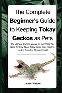 Complete Beginner's Guide to Keeping Tokay Geckos as Pets