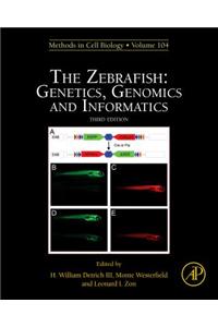 The Zebrafish