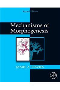 Mechanisms of Morphogenesis