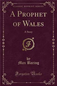 A Prophet of Wales: A Story (Classic Reprint)