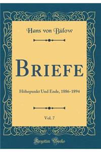 Briefe, Vol. 7: Hohepunkt Und Ende, 1886-1894 (Classic Reprint): Hohepunkt Und Ende, 1886-1894 (Classic Reprint)