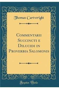 Commentarii Succincti E Dilucidi in Proverbia Salomonis (Classic Reprint)