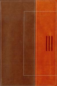 NIV/ The Message Parallel Bible