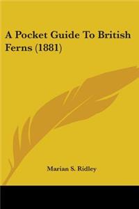 Pocket Guide To British Ferns (1881)