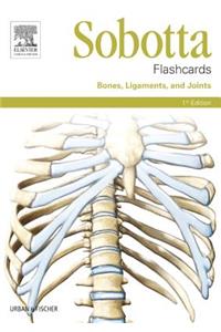 Sobotta Flashcards Bones, Ligaments and Joints