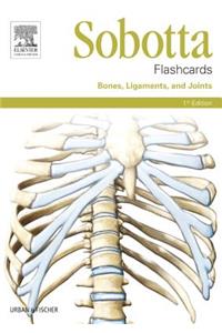 Sobotta Flashcards Bones, Ligaments, and Joints