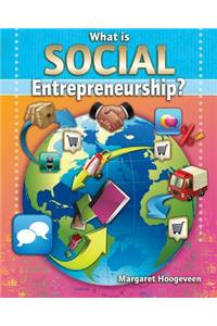 What Is Social Entrepreneurship?