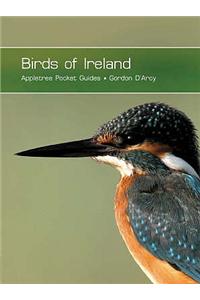 Birds of Ireland