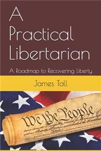 Practical Libertarian