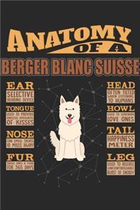 Anatomy Of A Berger Blanc Suisse
